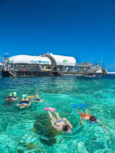 Great barrier reef day tours from airlie beach  Expect to catch (and keep!) coral trout, snapper, golden and giant trevally, mackerel and the delicious sweet lip